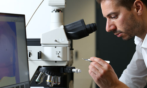 A man at a microscope