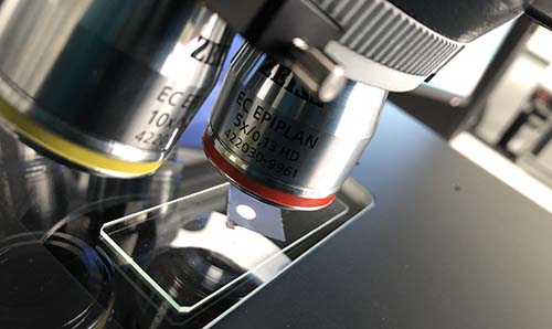 Close-up of microscope lenses and material on a slide