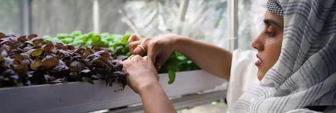 Doctor Beenish lifting a plant tray